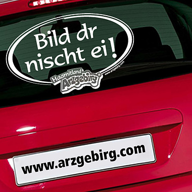 Bild dr nischt ei! Heckscheibenaufkleber
